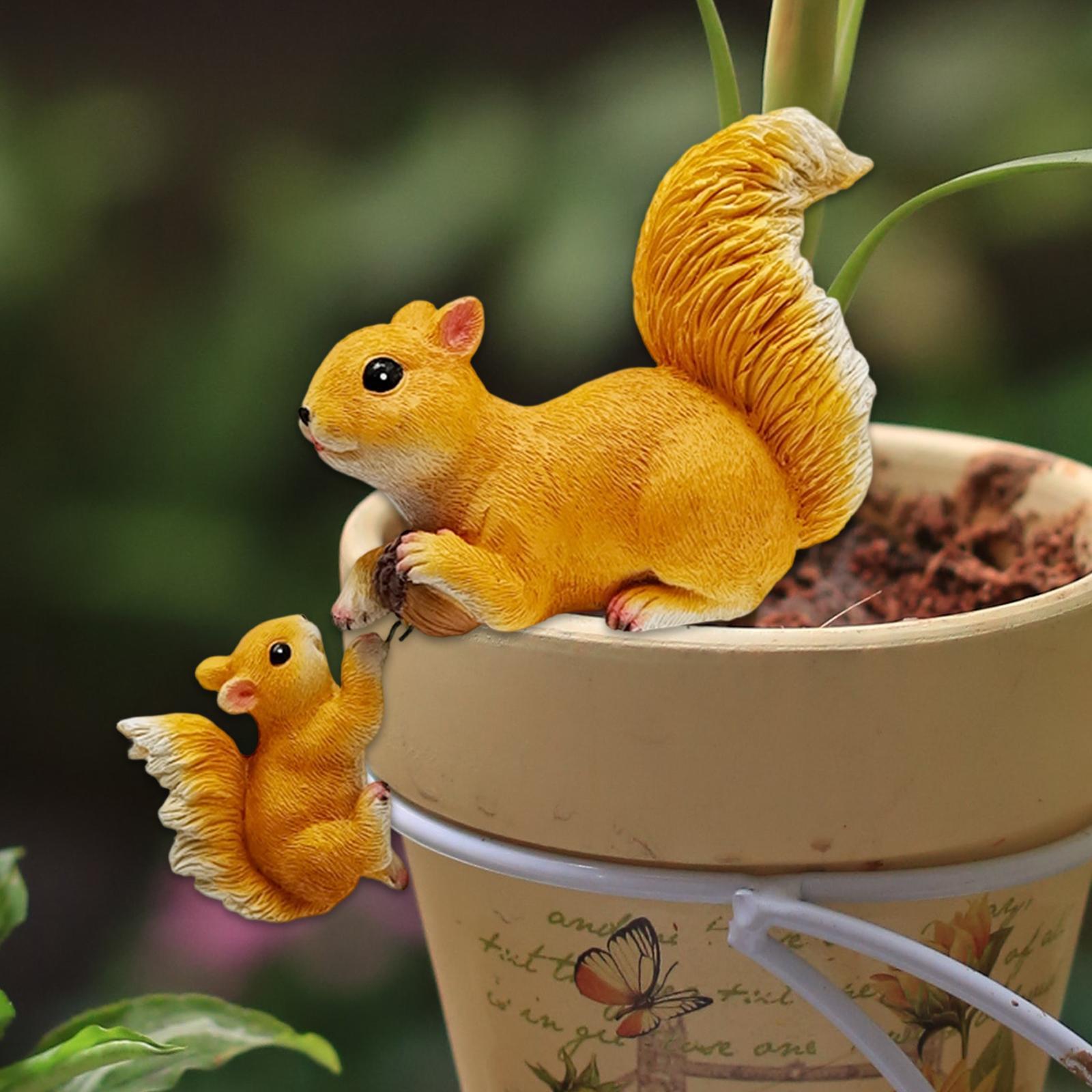 Ornement d'écureuil de jardin, - Bonsai Garden Art avis et prix