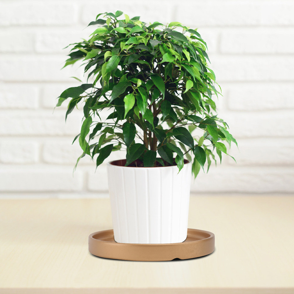 3 pièces, soucoupe pour pot de - Drip Tray Saucer avis et prix